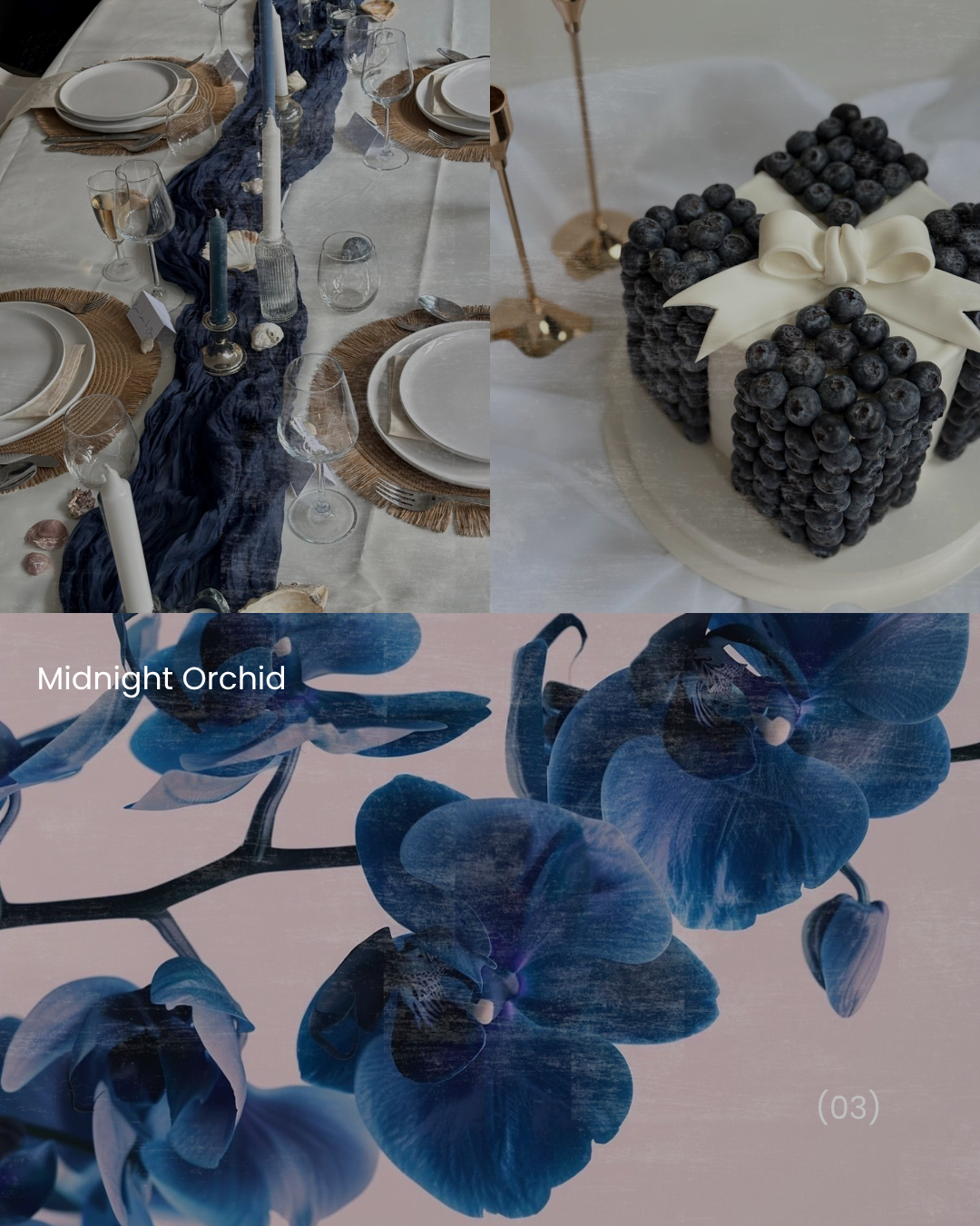 Midnight Orchid — deep blue orchids, navy table settings, dramatic moody decor for evening events